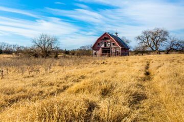 Erbengemeinschaft – Nutzungsentschädigungsanspruch bzgl. eines Grundstücks