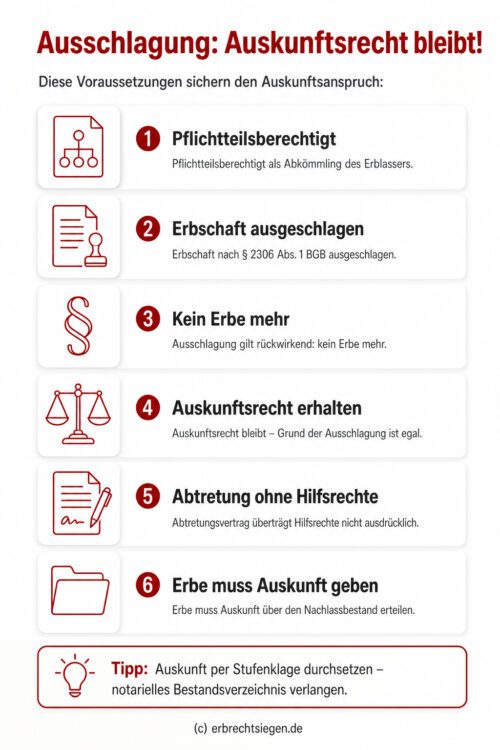 Infografik: Voraussetzungen für den Auskunftsanspruch eines Pflichtteilsberechtigten nach Ausschlagung der Erbschaft gemäß BGH-Urteil.