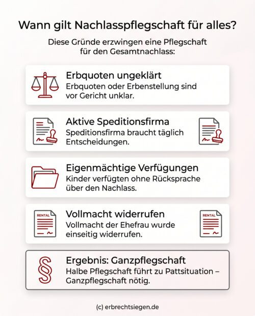 Infografik: Voraussetzungen für eine Nachlasspflegschaft über den gesamten Nachlass bei unklaren Erbquoten und einem aktiven Unternehmen.